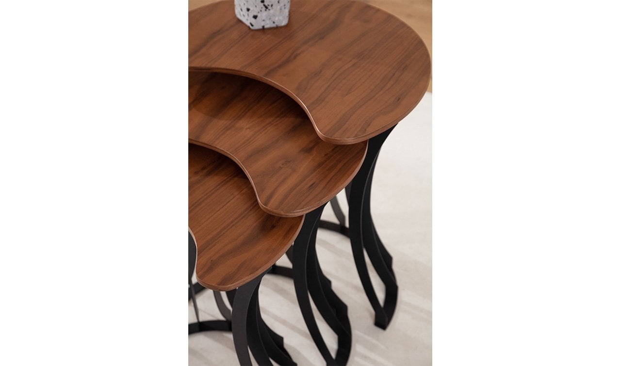 Carmen Modern Zigon Sehpa